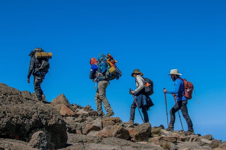One-Day Hike on Kilimanjaro’s Marangu Route to Mandara Hut photo 2