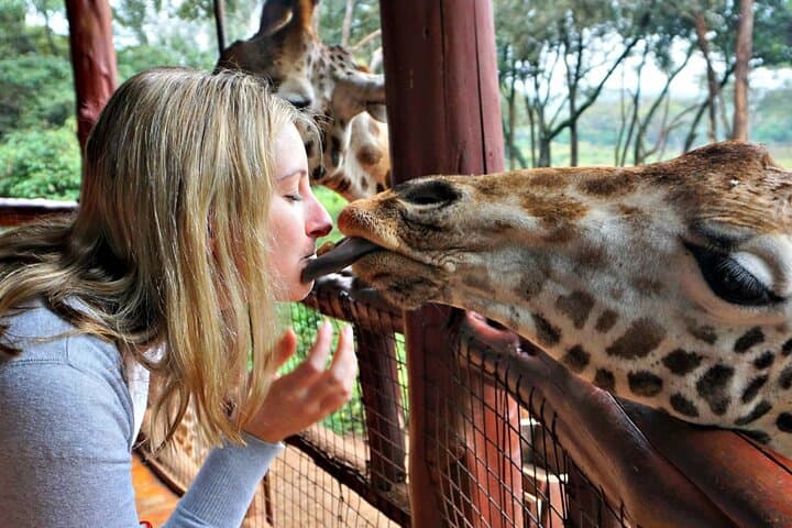 6-Day Kenya Safari: Giraffe Centre, Lake Naivasha, Hell's Gate & Masai Mara photo 4