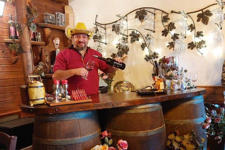 Golan Heights Private Day Tour — Mount Bental, Gamla & Bell Ofri Winery photo 3