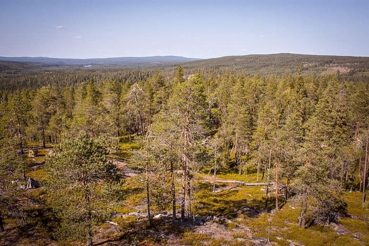 Auttiköngäs Waterfalls & Nature Trail — 3.5 km Hike Near Rovaniemi photo 4