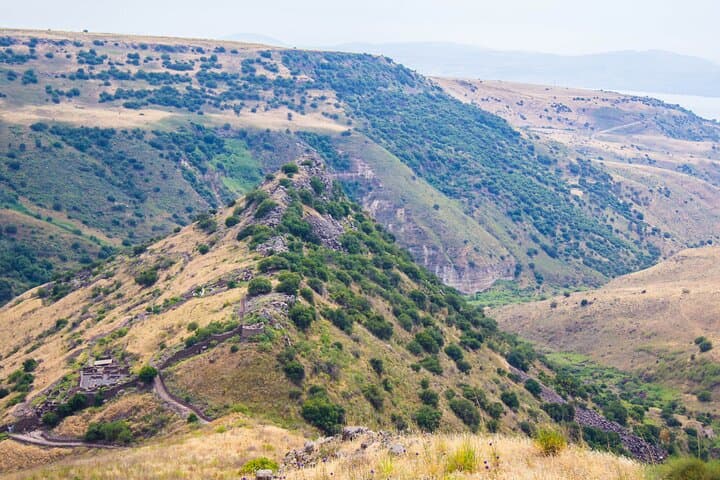Golan Heights Private Day Tour — Mount Bental, Gamla & Bell Ofri Winery photo 4
