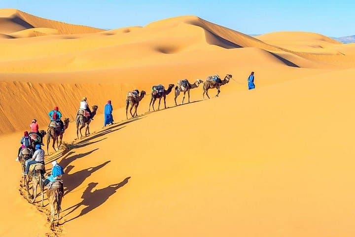 Day Tour to Giza Pyramids & Cairo from Alexandria Port — Full-Day Guided Excursion photo 4