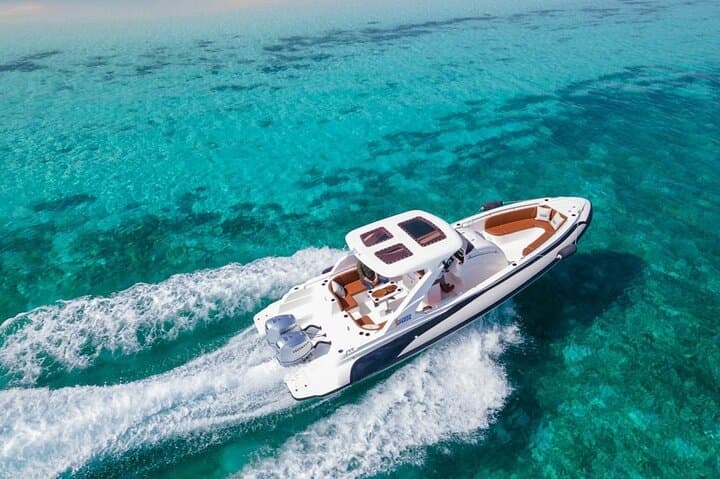 Private 4-Hour Dolphin Swim & Snorkel Speedboat Trip from Hurghada