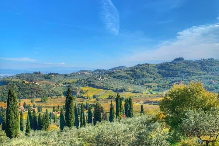 Off-the-Beaten-Track Carmignano Wine Tour with a Somm photo 3