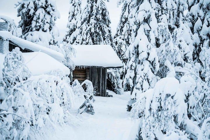 Riisitunturi Winter Hike & Traditional Finnish BBQ — Day Trip from Rovaniemi photo 2