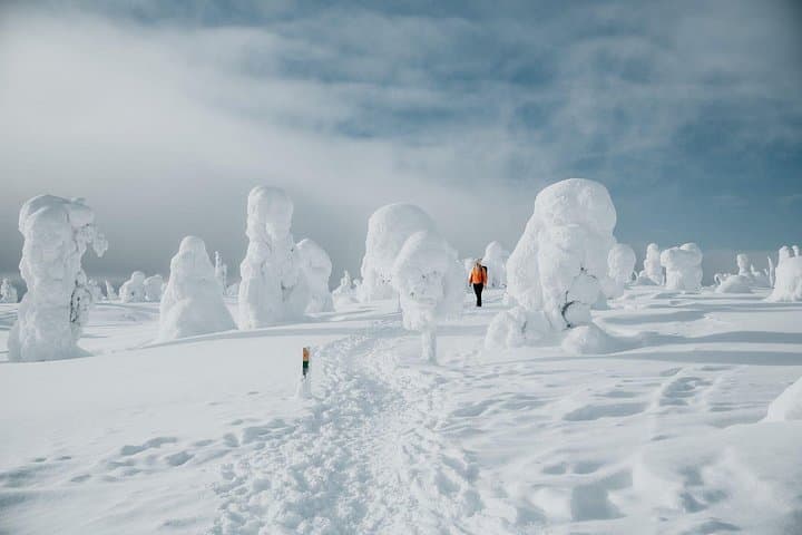 Riisitunturi Winter Hike & Traditional Finnish BBQ — Day Trip from Rovaniemi