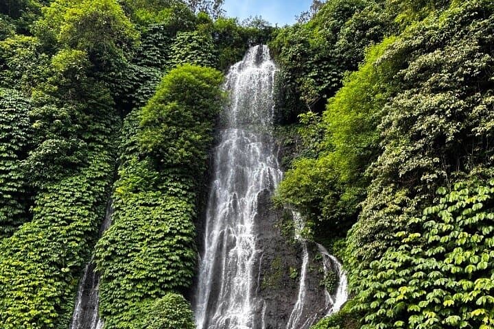 Sunrise Dolphins & Bayumala Waterfall — North Bali Morning Cruise and Waterfall Visit photo 6