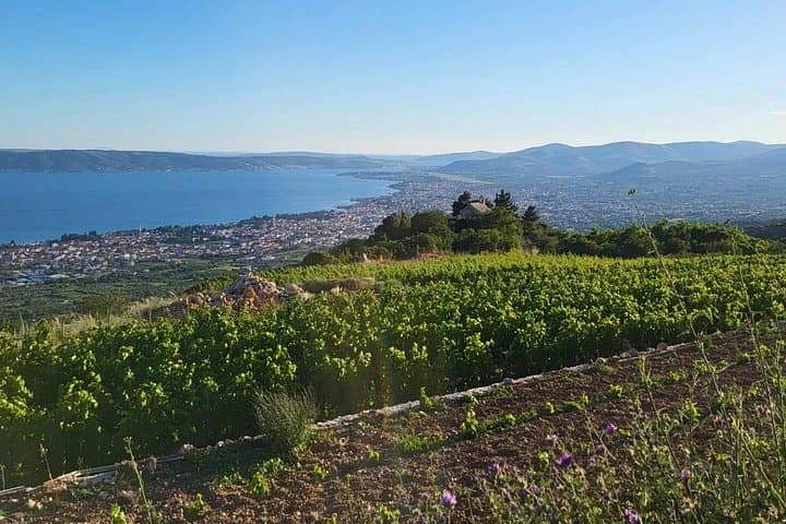 Split to Kaštela Zinfandel Roots: Off‑Road ATV Quad Adventure & Winery Tasting photo 5