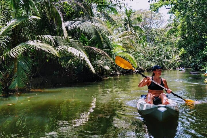 Punta Uva Kayak and Sloth-Watching Tour — River Paddles & Jungle Hikes in Costa Rica photo 2