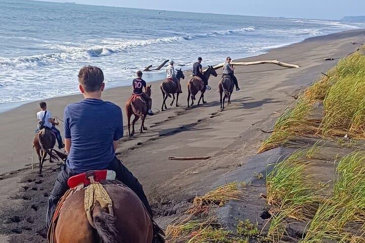 Tarcoles-Garabito Horseback Riding: Sunset Mangrove & Beach Trail Ride
