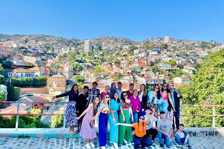 Valparaíso and Viña del Mar Day Trip from Santiago: Coastal Art, Hills & Sea Lions