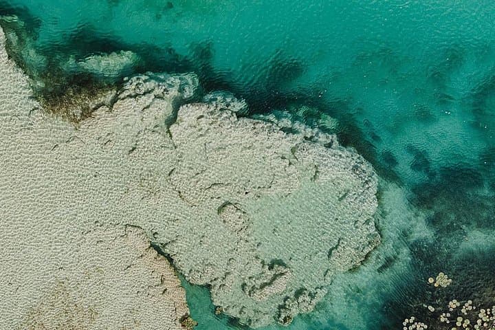 Sunrise Kayaking on Laguna Bacalar: Mangroves, Breakfast & Photos photo 5