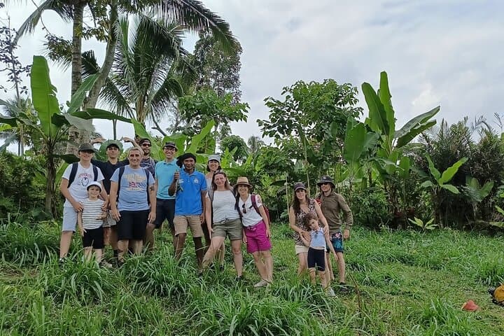 Tetebatu Day Tour: Rice Terraces, Monkey Forest & Jeruk Manis Waterfall photo 2