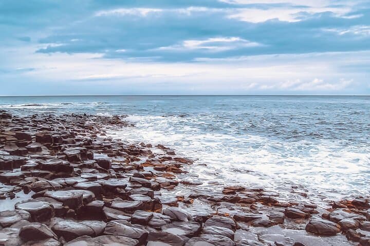 Giant's Causeway & Carrick-a-Rede: Full-Day Coastal Adventure from Belfast photo 2