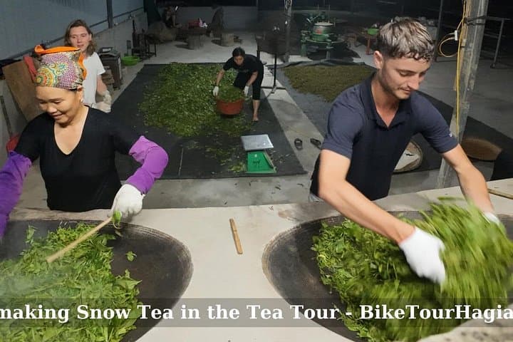 Ancient Tea Tour & Homestay West of Ha Giang — 2-Day Shan Tea Experience photo 2