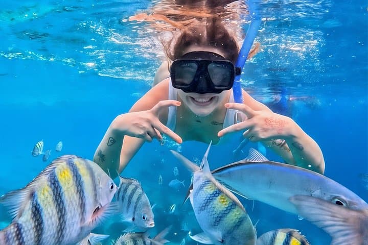 Grand Snorkeling Riviera Maya Private Tour: Cenotes, Turtles & Coral Reefs photo 1