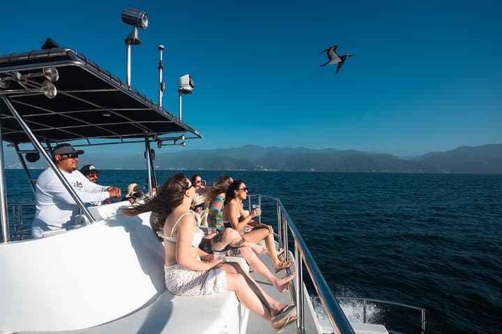 Private Yacht Charter Chica Fun 6 — All‑Inclusive Yacht with Waterslides in Puerto Vallarta photo 6