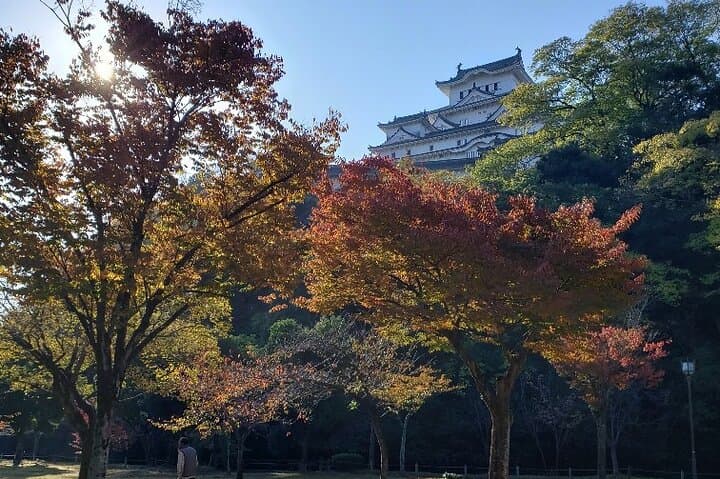Inside Himeji Castle: 2.5-Hour Private History & Culture Tour photo 5