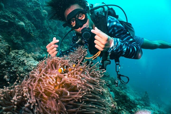 Half-Day Discover Scuba at Phi Phi: Two Beginner Dives on Shallow Coral Reefs photo 2