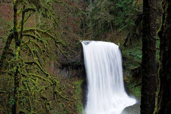 Silver Falls Private Hike Tour: Walk Behind Cascades on the Trail of Ten Falls photo 5