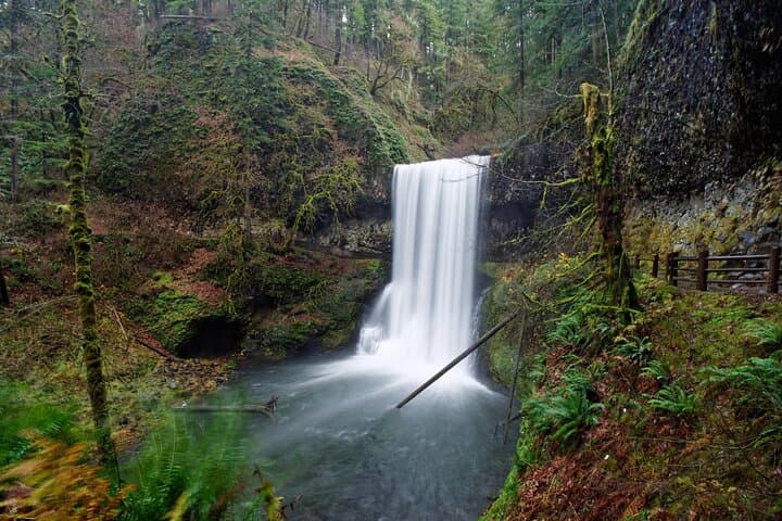 Silver Falls Private Hike Tour: Walk Behind Cascades on the Trail of Ten Falls photo 3