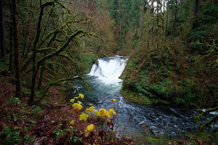 Silver Falls Private Hike Tour: Walk Behind Cascades on the Trail of Ten Falls photo 4