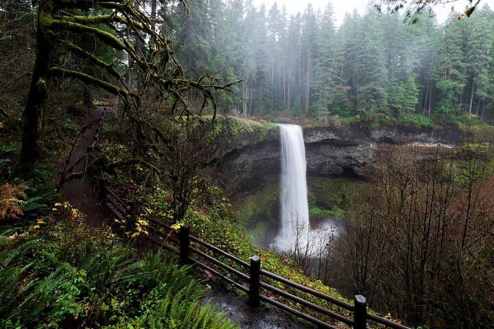 Silver Falls Private Hike Tour: Walk Behind Cascades on the Trail of Ten Falls photo 2
