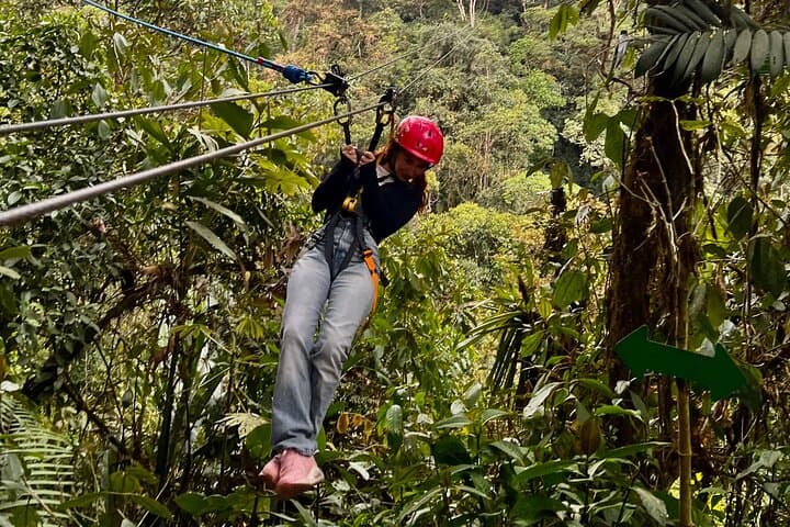 Mindo Cloud Forest Private Tour — Chocolate, Coffee & Birdwatching from Quito photo 3