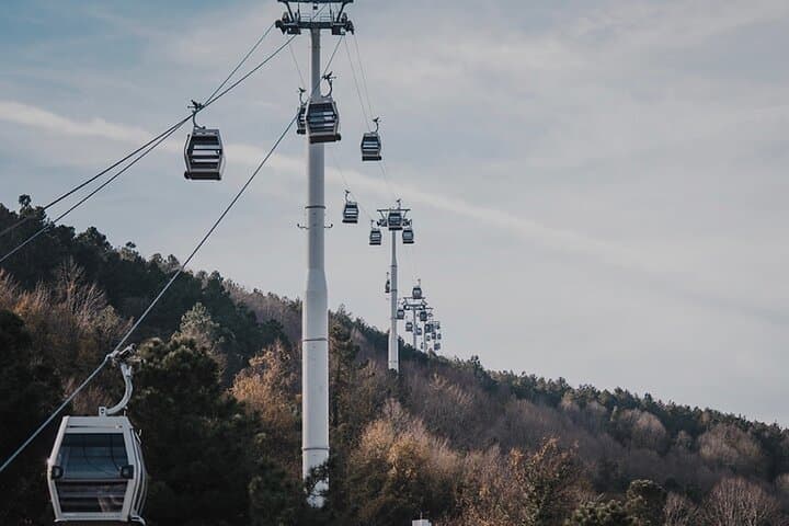 Full-Day Sapanca Adventure from Istanbul — Lake Views, Cable Car & Zipline photo 4
