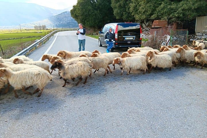 Knossos to Lasithi Plateau: Private Olive Oil & Village Tour from Elounda photo 4