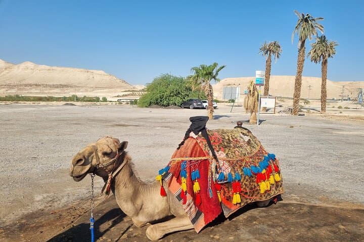 Dead Sea Day Trip with GaryTheGuide: Masada, Ein Gedi & Qumran photo 4