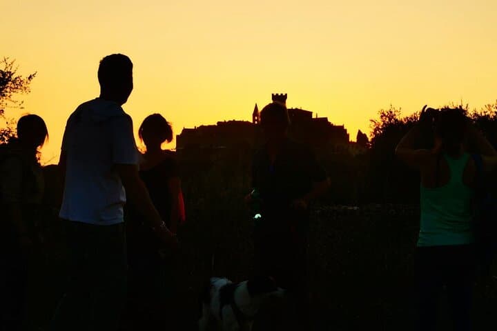 Sunset Walk to Capalbio: Olive-Grove Trails, Maremma Views & Rustic Aperitif photo 3