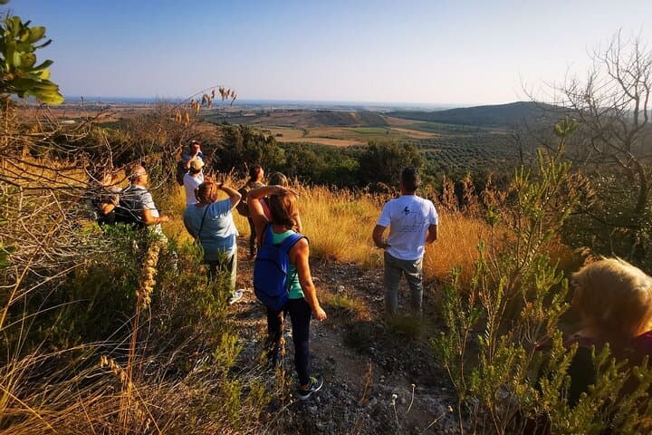 Sunset Walk to Capalbio: Olive-Grove Trails, Maremma Views & Rustic Aperitif photo 2