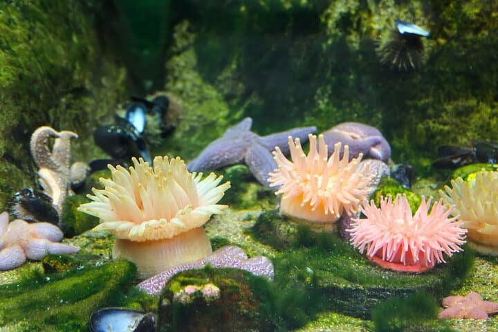 Inside the Montreal Biodome: Private Skip-the-Line Tour of Living Ecosystems photo 4