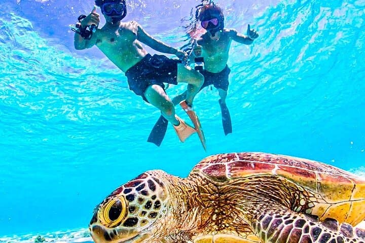 Swim with Miyako Sea Turtles: Guided Snorkel Tour with Free Pickup photo 5