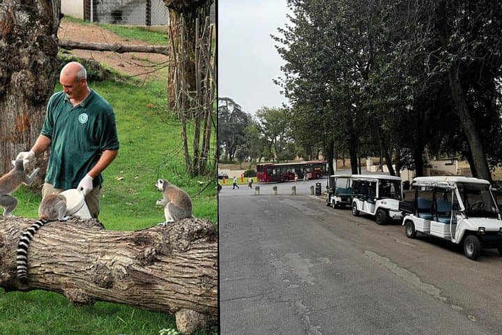 Villa Borghese Golf Cart Tour + Bioparco Zoo Skip-the-Line — Rome Day Experience photo 1