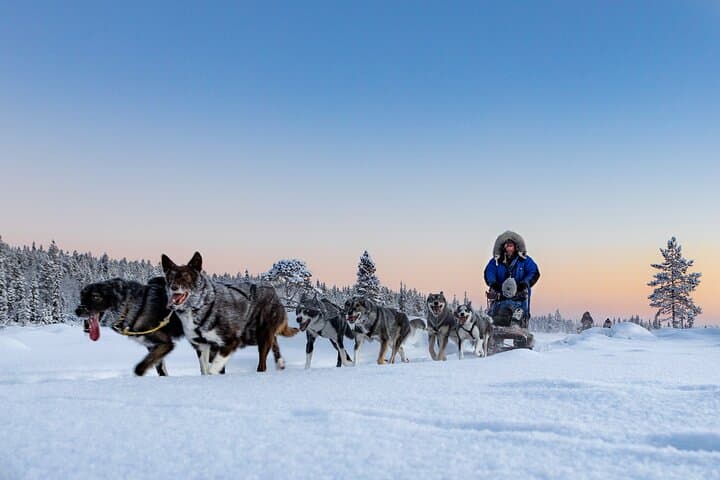 Sunset Zen Husky Tour: Kiruna Dog Sledding at Dusk photo 2
