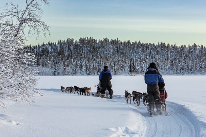 Sunset Zen Husky Tour: Kiruna Dog Sledding at Dusk photo 3