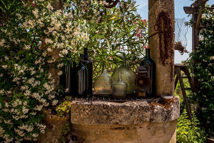 Saint-Émilion E‑Bike Wine Pilgrimage: Half‑Day Tour with a Winemaker photo 6