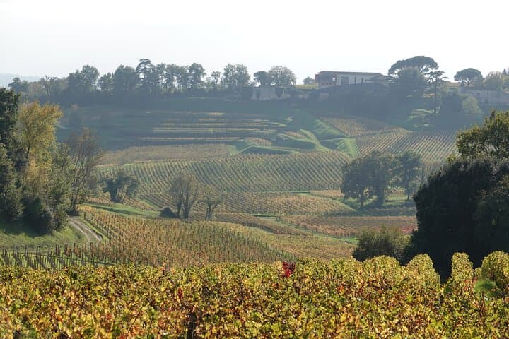 Saint-Émilion E‑Bike Wine Pilgrimage: Half‑Day Tour with a Winemaker photo 5