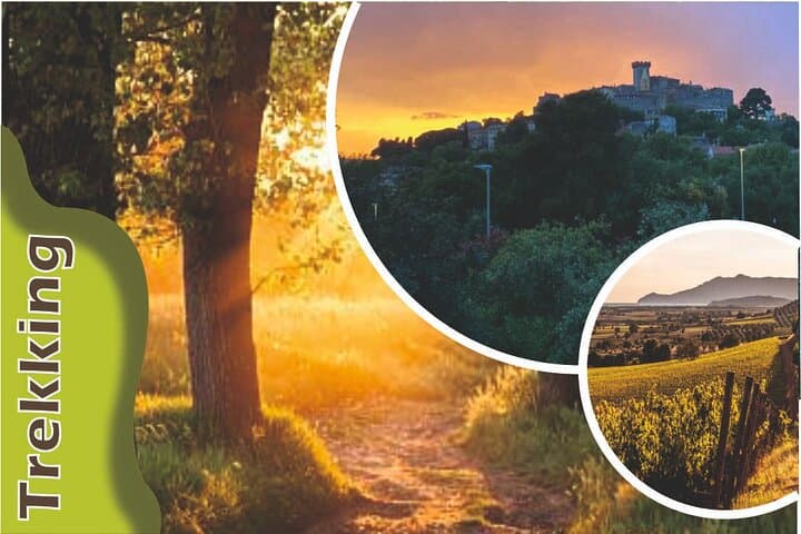 Sunset Walk to Capalbio: Olive-Grove Trails, Maremma Views & Rustic Aperitif