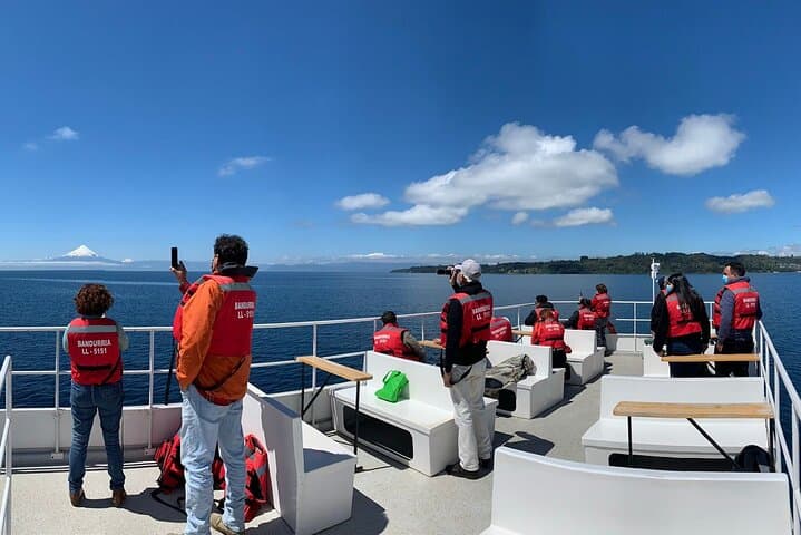 Scenic Catamaran Cruise on Lake Llanquihue — Volcano Views from Puerto Varas photo 1
