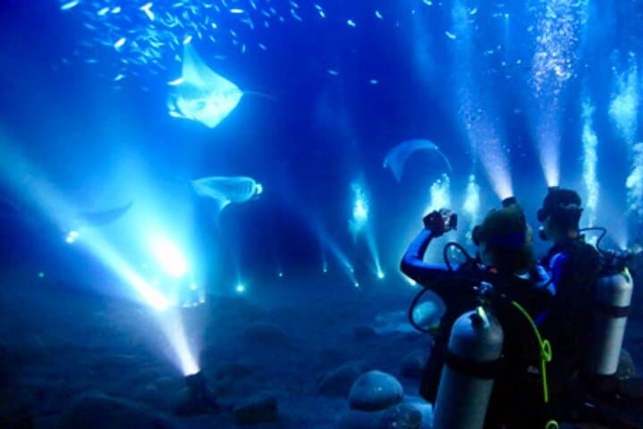 Kona Manta Ray Night Snorkel and Dive — Small-Group Night Boat Experience photo 5