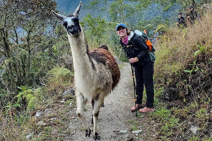 15-Day Treasures of Peru: Amazon Rainforest, Sacred Valley & Lake Titicaca Adventure photo 5