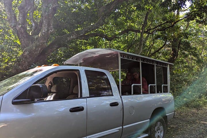 Off-Road Rainforest 4x4 Grand Tour — St. Kitts Jungle Safari