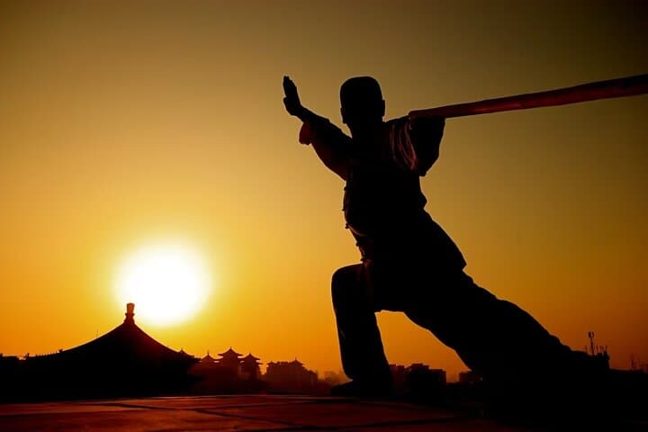 Xi'an Private Kung Fu Lesson and Terra-cotta Warriors Day Tour photo 4