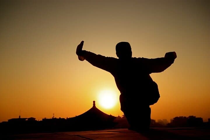 Xi'an Private Kung Fu Lesson and Terra-cotta Warriors Day Tour photo 6