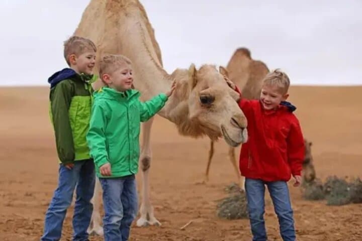 Morning Camel Trek & Sandboarding in Dubai’s Red Dunes — Sunrise Safari with Falcon Photos photo 4