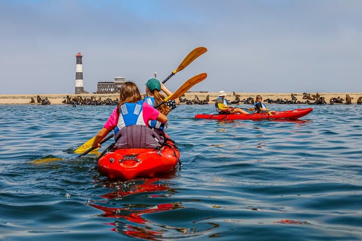 Pelican Point Kayak & Sandwich Harbor Dune Combo from Walvis Bay photo 6