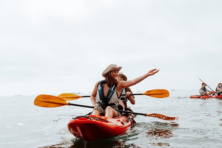 Mola Mola Kayaking Experience — Walvis Bay Pelican Point Kayak and 4x4 Adventure photo 3